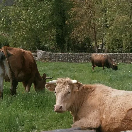 Casona Camino Real De Selores Selores