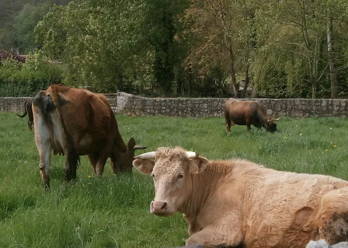 Casona Camino Real De Selores